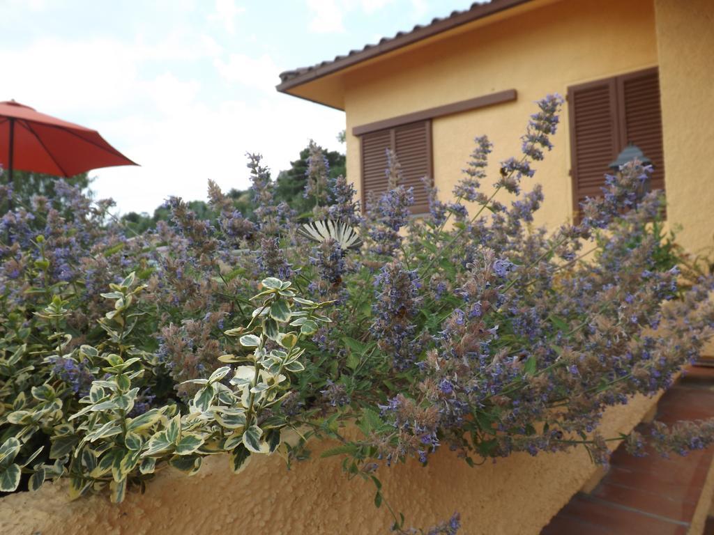 Villa Rifugio Al Sole à Reggello Extérieur photo